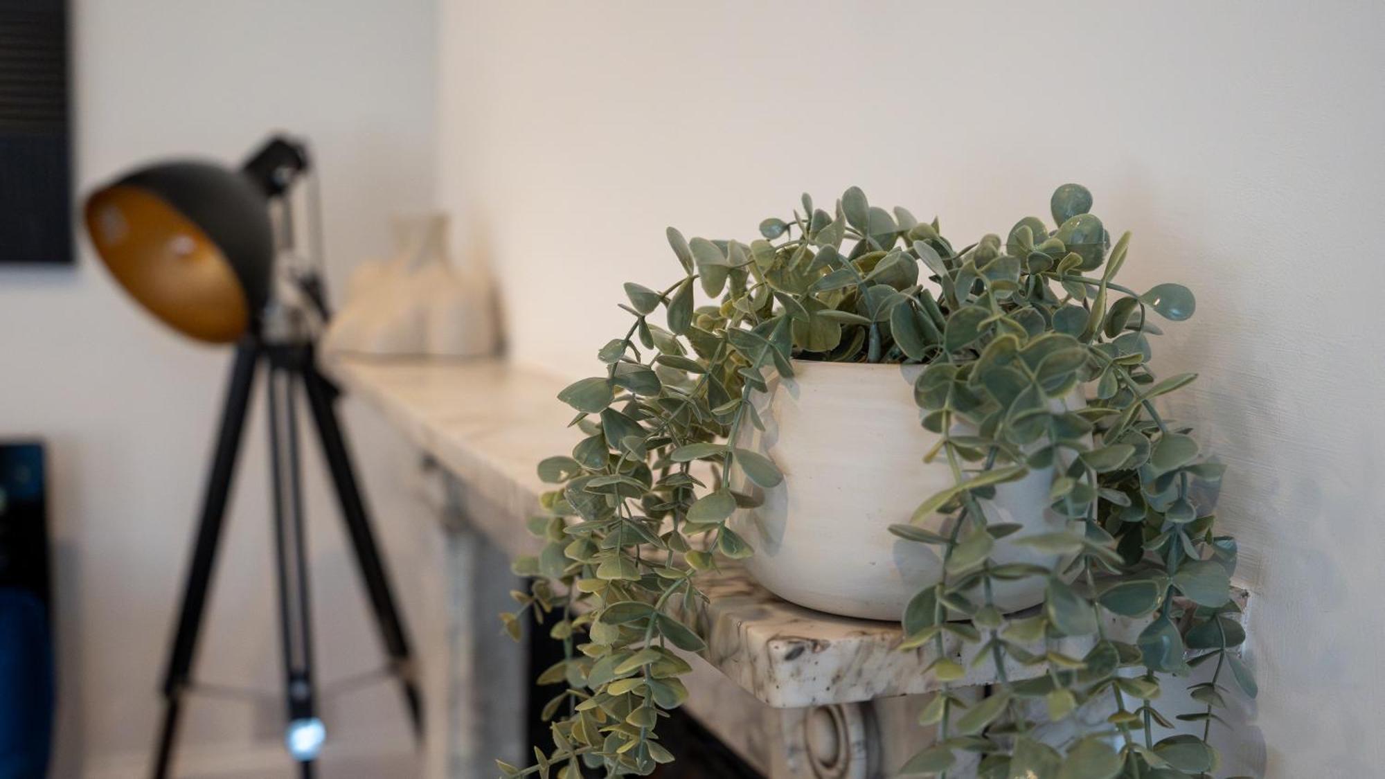 Select Sa - Queens Terrace Apartment Reading